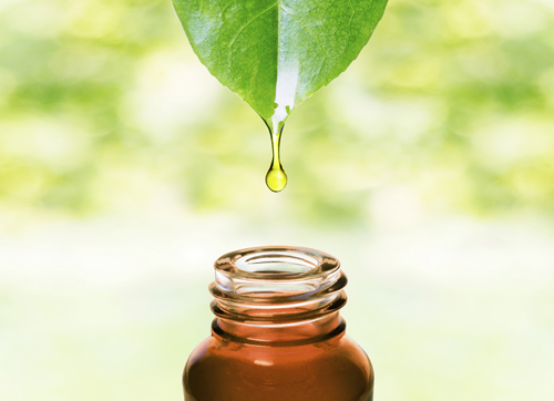 A Complete Essential Oils Guide